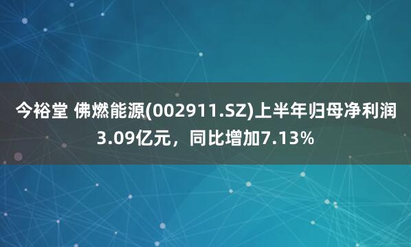 今裕堂 佛燃能源(002911.SZ)上半年归母净利润3.09亿元，同比增加7.13%