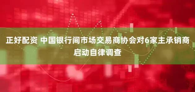 正好配资 中国银行间市场交易商协会对6家主承销商启动自律调查