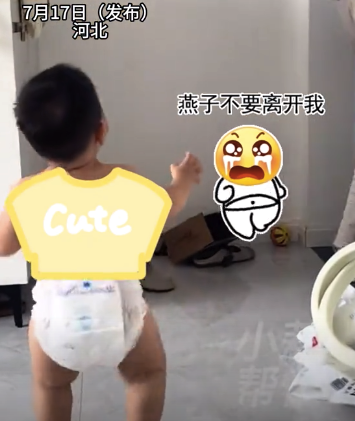 联华配资 萌娃确认爸爸走远后哭声秒停 网友：宝宝给足了情绪价值