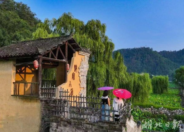 郑州配资网 郧西涧池乡下营村荷风拂动盈袖香