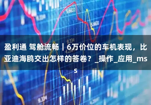 盈利通 驾舱流畅｜6万价位的车机表现，比亚迪海鸥交出怎样的答卷？_操作_应用_ms