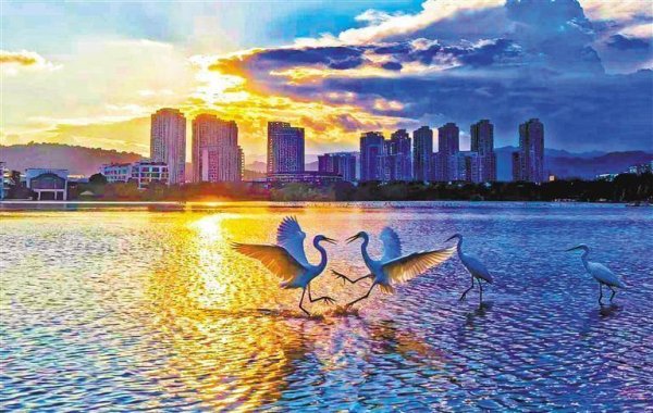 金来源配资 【大美中国】湿地秋色